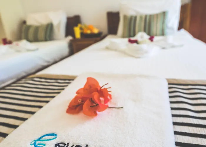 Resort Evolution Dive And