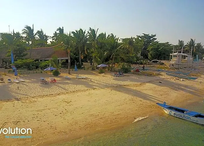 Evolution Dive And Resort
